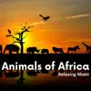 Animals of Africa, Relaxing Music album lyrics, reviews, download