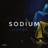 Sodium - Single album lyrics, reviews, download
