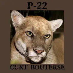 P-22 - Single by Curt Bouterse album reviews, ratings, credits