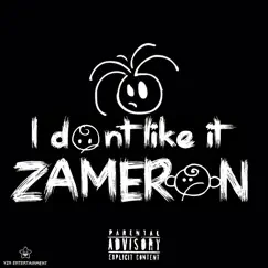 I Don't Like It - Single by ZAMERON album reviews, ratings, credits
