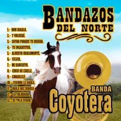Bandazos Del Norte by Banda Coyotera album reviews, ratings, credits
