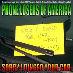 Sorry I Dinged Your Car by Phone Losers of America album reviews, ratings, credits