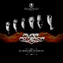 El malo de Culiacán (En vivo) - Single by Pura Potencia album reviews, ratings, credits