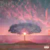 Dusk - Single album lyrics, reviews, download