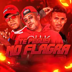 Te Peguei no Flagra Song Lyrics