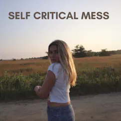 Self Critical Mess Song Lyrics