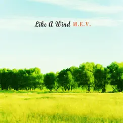Like A Wind - Single by M.E.V. album reviews, ratings, credits