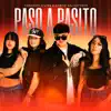Paso A Pasito - Single album lyrics, reviews, download