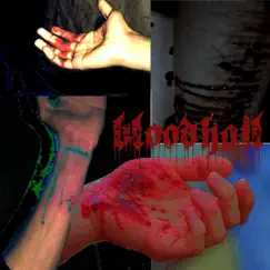 Bloodhail (feat. The Digital Christ & iliveinoblivion) [Darkwave Remix] [Darkwave Remix] - Single by Shanax Bars album reviews, ratings, credits