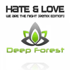 We Are the Night (Remix Edition) - Single by HATE & Love album reviews, ratings, credits