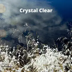 Crystal Clear - Single by Torfi Olafsson album reviews, ratings, credits