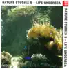 Nature Studies, Vol. 9: Life Undersea album lyrics, reviews, download