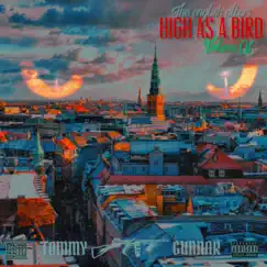 High As a Bird by Tommy Gunnar album reviews, ratings, credits