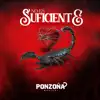 No Es Suficiente - Single album lyrics, reviews, download