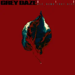 B12_demo.1997.aiff - Single by Grey Daze album reviews, ratings, credits