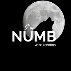I'm Numb - Single by Vinnie Vento album reviews, ratings, credits