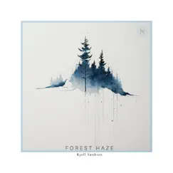 Forest Haze - Single by Kjell Sønksen album reviews, ratings, credits