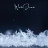 Winter Dream - Single album lyrics, reviews, download