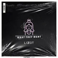 What They Want Song Lyrics