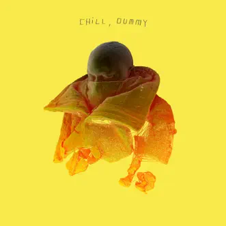 Chill, Dummy by P.O.S album download
