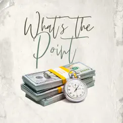 Whats the Point - Single by Big $moot album reviews, ratings, credits