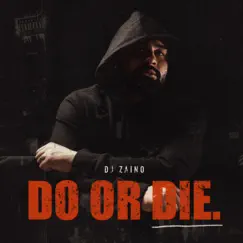 Do or Die by DJ Zaino album reviews, ratings, credits