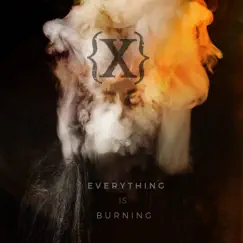 Everything is Burning (Metanoia Addendum) by IAMX album reviews, ratings, credits
