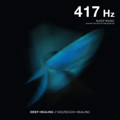 417 Hz Remove All the Negative Energy Song Lyrics