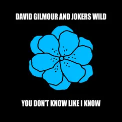 You Don't Know Like I Know (feat. Joker's Wild) - Single by David Gilmour album reviews, ratings, credits
