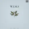 W.I.M.S. (feat. Andrew Kelly & Fuze) - Single album lyrics, reviews, download