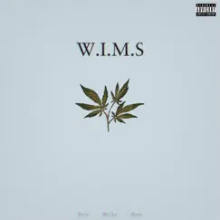 W.I.M.S. (feat. Andrew Kelly & Fuze) Song Lyrics