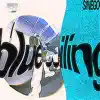 blue ceiling (Sinego Remix) [feat. Sinego] song lyrics