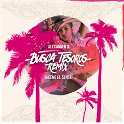 Busca Tesoros (feat. Sheeno El Sensei) [Remix] Song Lyrics