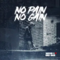 No Pain No Gain (feat. Survivor Q & Knick Knack) [REMIX] Song Lyrics