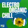 Electro-Organic Chill album lyrics, reviews, download