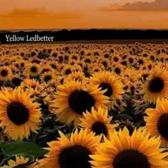 Yellow Ledbetter Song Lyrics