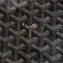 Goyard Song Lyrics