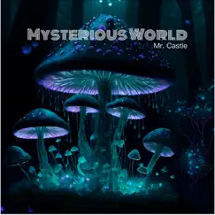 Mysterious World - Single by Mr. Castle album reviews, ratings, credits