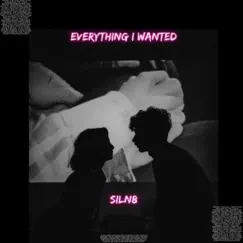 Everything I Wanted - Single by SILN8 album reviews, ratings, credits