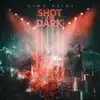 Shot in the Dark (Instrumental) - Single album lyrics, reviews, download