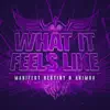 What It Feels Like (Extended Mix) - Single album lyrics, reviews, download