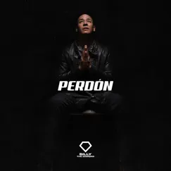 Perdón Song Lyrics