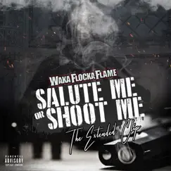 Salute Me or Shoot Me: The Extended Clip by Waka Flocka Flame album reviews, ratings, credits