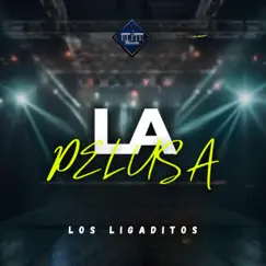 La Pelusa - Single by Los Ligaditos album reviews, ratings, credits