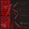 Burn It Down - Single album lyrics, reviews, download