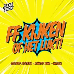 Ff Kijken Of Het Lukt! Song Lyrics