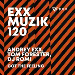 Got the Feeling - Single by Andrey Exx, Tom Forester & DJ Romi album reviews, ratings, credits