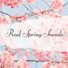 Real Spring Sounds - Early Morning Springtime Serotonin Music album lyrics, reviews, download