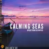 Calming Seas (feat. Adam Page & Ben Schatz) - Single album lyrics, reviews, download