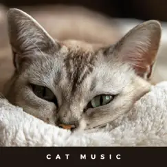 Cat Sleep Aid by Cat Music album reviews, ratings, credits